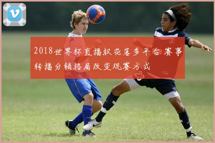 2018世界杯直播权花落多平台 赛事转播分销格局改变观赛方式